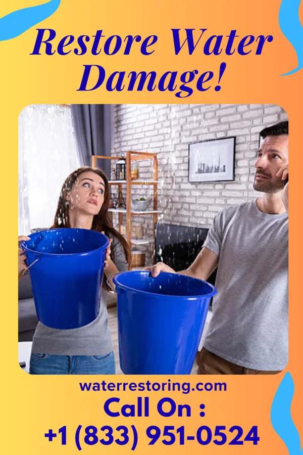 water restoration Sentinel Water Damage & Associates Sycamore