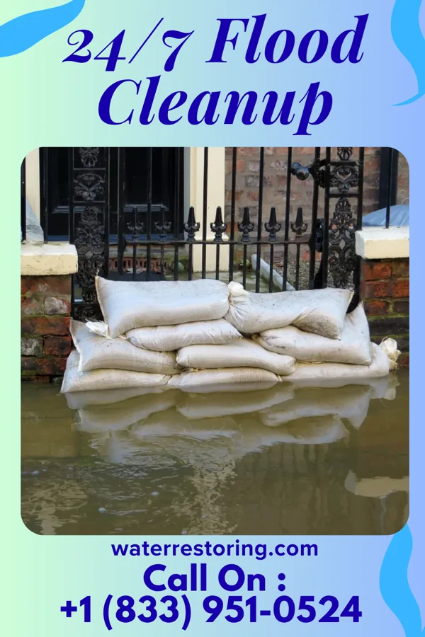 24/7 Flood Cleanup in Sycamore, KY