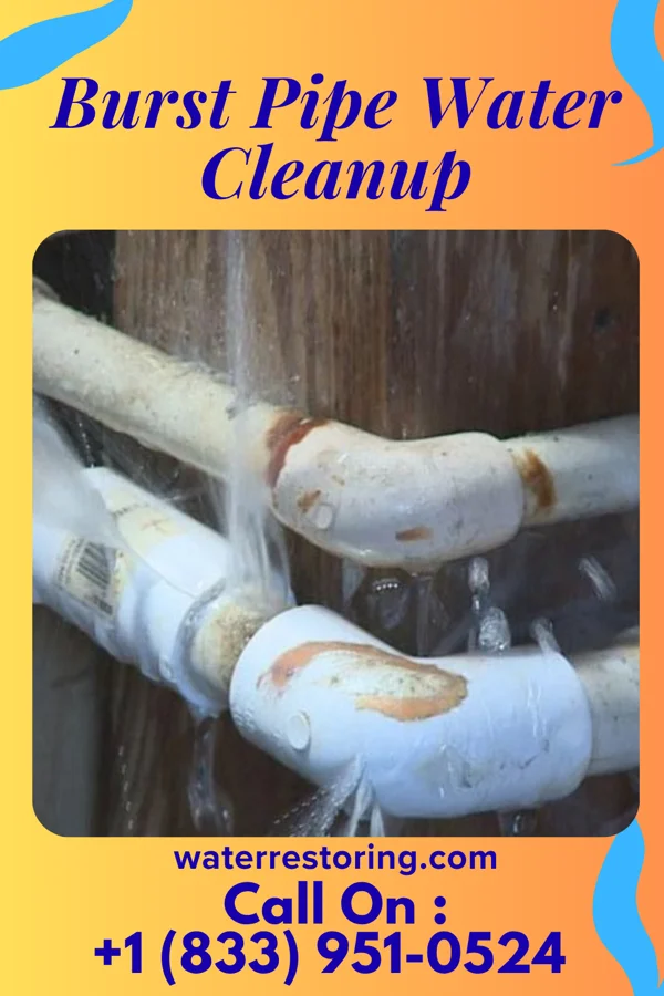 Burst Pipe Water Cleanup in Sycamore, KY