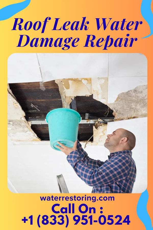 Roof Leak Water Damage Repair in Sycamore, KY