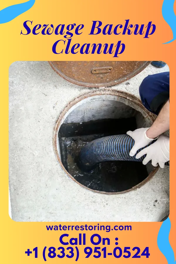 Sewage Backup Cleanup in Sycamore, KY